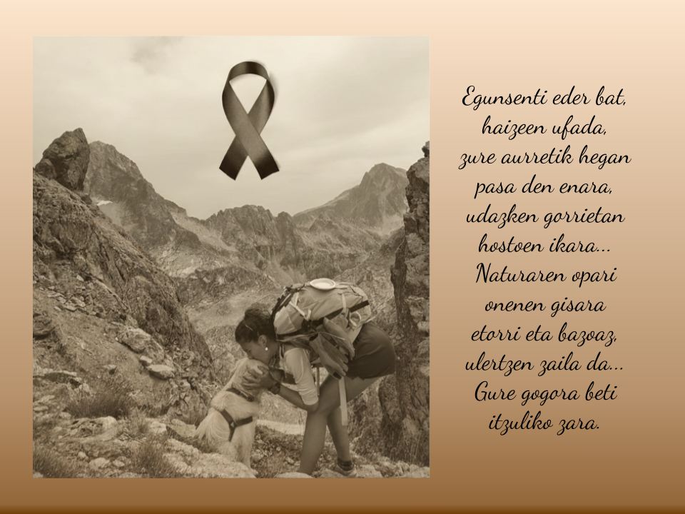 GOIAN BEGO, IRANTZU